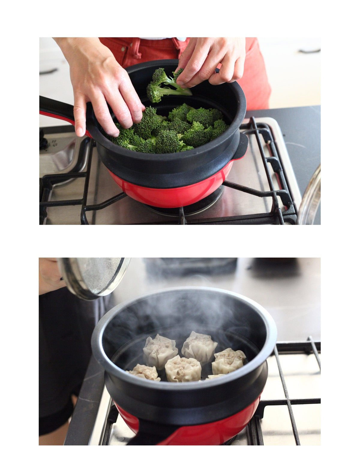 remypan plus Steamer 24cm