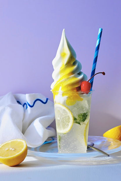 NISSEI Japanese Gravity Feed Benchtop Soft Serve Machine Double Flavour CI-7548AEC