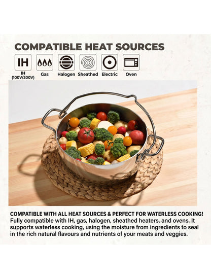 TSBBQ Stainless Dutch Oven 10inch